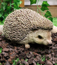 Lifelike Realistic Spinal Mammal Animal Baby Hedgehog Collectible Figurine 6