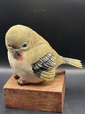 Beautiful Canary Bird Decor picture