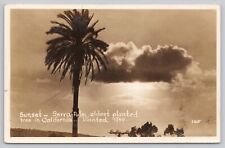 San Diego California, Serra Oldest Palm Sunset, Vintage RPPC Real Photo Postcard picture
