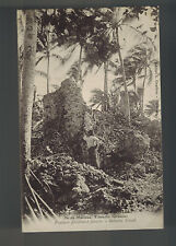 Mint Tahiti French Polynesia BW RPPC Postcard Makaltea Island Jungle View picture