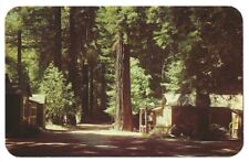 Big Sur California c1950's Redwood Lodge and Camp picture