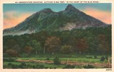 Postcard NC Grandfather Mountain North Carolina Unposted Vintage PC K476 picture