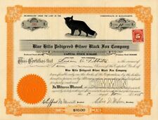 Blue Hills Pedigreed Silver Black Fox Co. - Fox Vignette Stock Certificate - Ani picture
