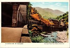 National Park Fuji Hakone Kanreido Vintage Postcard Japan Cancel Yokohama Nishi picture