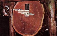 Postcard Mill Valley California, Cross Section of Giant Redwood 909 AD Age Rings picture