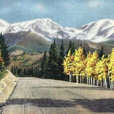 Vintage Rocky Mountain National Park, CO Linen Postcard Mummy Range Colorado UNP picture