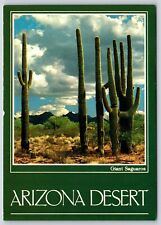 AZ Arizona Desert Giant Saguaros, Chrome 4 x 6 Petley picture