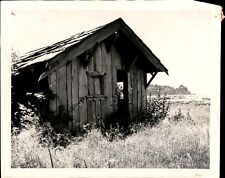 LD283 1948 Orig Photo ABANDONED HUT USED BY SEAL & WHALE HUNTER ELLIOTT ANDERSON picture