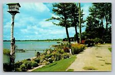 c1972 Shore of Crooked Lake in Northern Michigan Vintage Postcard 1643 picture