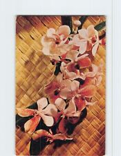 Postcard Both beautiful and rare Waling-Waling orchids, Philippines picture