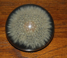 dandelion paperweight picture