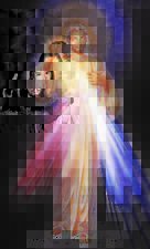 Large Print Divine Mercy Prayer Card, Jesus, I Trust in You, 3x5 inches, 5 pack picture