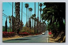 c1950s Chrome Postcard Riverside CA California Victoria Ave Palm Trees Car Van picture