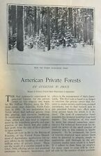 1902 American Private Forests Asheville North Carolina Sewanee Tennessee picture