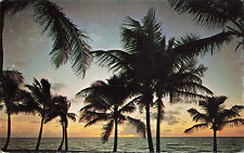 OCEAN COAST WITH PALM TREES AT SUNSET POSTCARD HOLLYWOOD FL FLORIDA 1970s picture