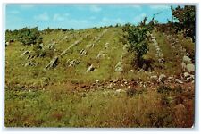 1968 Arbuckle Mountains Rock Formations Ardmore Oklahoma OK Vintage Postcard picture