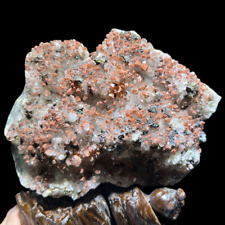 Top quality 5.19LB Natural Quartz Crystal Mineral reiki specimen decor gift picture