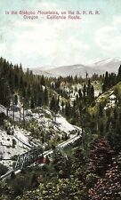 C.1910 In the Siskyou Mountains, on the S.P.R.R. Oregon California Postcard P122 picture