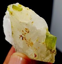 39 Gram Top Quality Bunch Of Green Tourmaline On Quartz Crystal From Skardu Paki picture