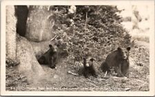 c1940s CRATER LAKE NATIONAL PARK Real Photo RPPC Postcard 