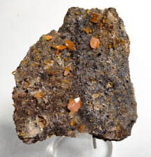 Wulfenite Red Cloud Mine, Mexico WLFRC61 picture