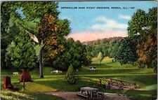 Peoria IL-Illinois, Detweiler Park Picnic Grounds, Vintage Postcard picture