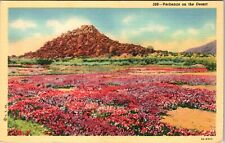Verbenas On The Desert, Plants, Vintage Postcard picture