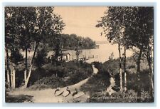 c1910's Douglas View Resort Paw Paw Lake Michigan MI Unposted Antique Postcard picture