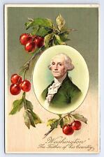 Postcard Patriotic George Washington Father Of Our Country c.1908 picture