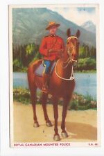 Royal Canadian Mounted Police Horse Mountie Divided Back Postcard picture
