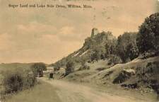 c1910 Sugar Loaf Lake Side Drive Horse Buggy Winona Minnesota MN P481 picture