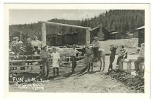Vintage Real Photo Postcard Paradise Ranch Buffalo Wyoming WY RPPC picture
