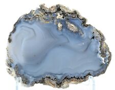 Superb Coconut Polished Geode half w Agate Zacatecas Mexico COA 5115 picture