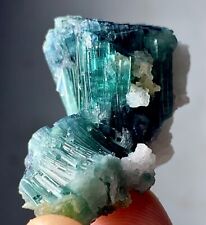70 Carat Indicolite Tourmaline Crystal Bunch Specimen From Afghanistan picture