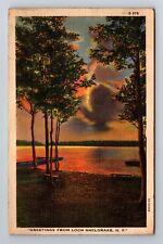 Loch Sheldrake NY-New York, General Greetings, c1943 Antique Vintage Postcard picture