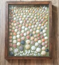 Gorgeous Shadow Box Art with  150 Seashells picture