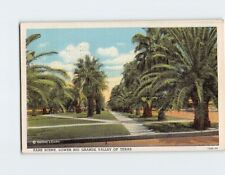 Postcard Park Scene, Lower Rio Grande Valley of Texas picture
