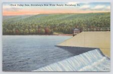 Linen~Air View Clark Valley Dam Water Supply of Harrisburg PA~Vintage Postcard picture