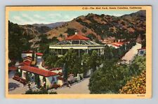 Santa Catalina CA-California, The Bird Park, c1948 Vintage Postcard picture