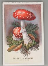 Vintage  Postcard New year, two beautiful red toadstools mushroom picture