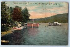 Harvey's Lake Pennsylvania PA Postcard Along Shore Picnic Grounds c1911 Vintage picture