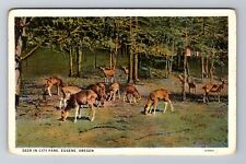Eugene OR-Oregon, Herd Of Deer In City Park Vintage Souvenir Postcard picture