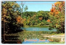 Greeting From Ohio Unused Vintage 4x6 Postcard AF293-CD picture