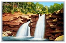Elyria, OH Ohio, East Falls of Black River, Cascade Park Vintage Linen Postcard  picture