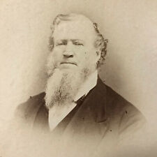 1870s C.W. CARTER Photograph Prophet BRIGHAM YOUNG Mormon LDS Utah BEAUTYPHOTO picture