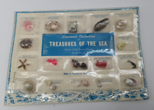 Vintage Sea Shell Shells Mounted Collection w/Names In Box - Never Opened picture