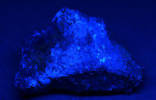 Scheelite specimen, fluorescent. Atolia, California. 16 grams picture