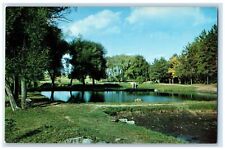 c1960's Fish Hatchery Trees Scene Near Woodruff Wisconsin WI Unposted Postcard picture