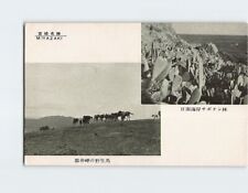 Postcard Wild Horses of Cape Toi & Nichinan Coast Miyazaki Japan picture