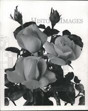 1954 Press Photo Queen Elizabeth Rose - mjb06017 picture